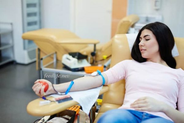 Những điều bạn cần biết trước khi hiến máu